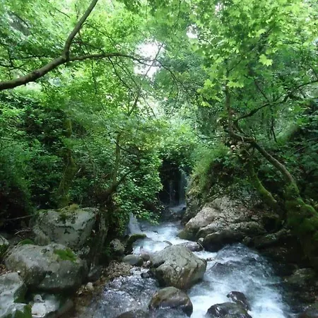 Micro Africa Site Delvinë