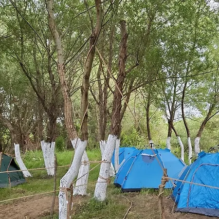 キャンプ場 Micro Africa Site *