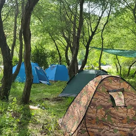 Micro Africa Site Кемпинг Delvine